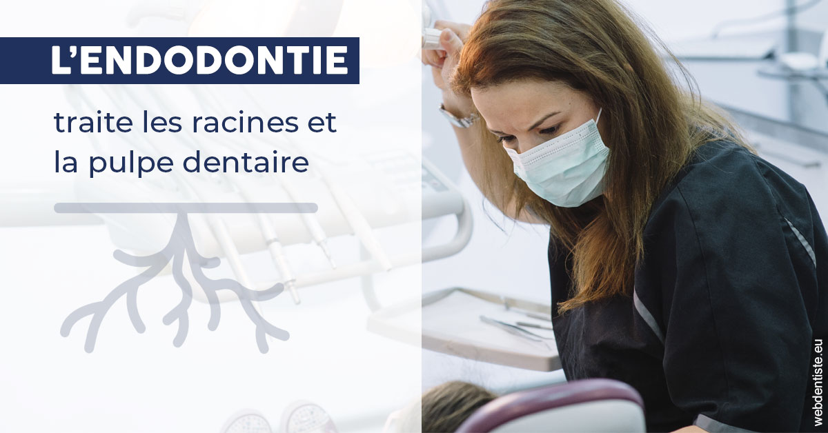 https://dr-bensoussan-sylvie.chirurgiens-dentistes.fr/L'endodontie 1