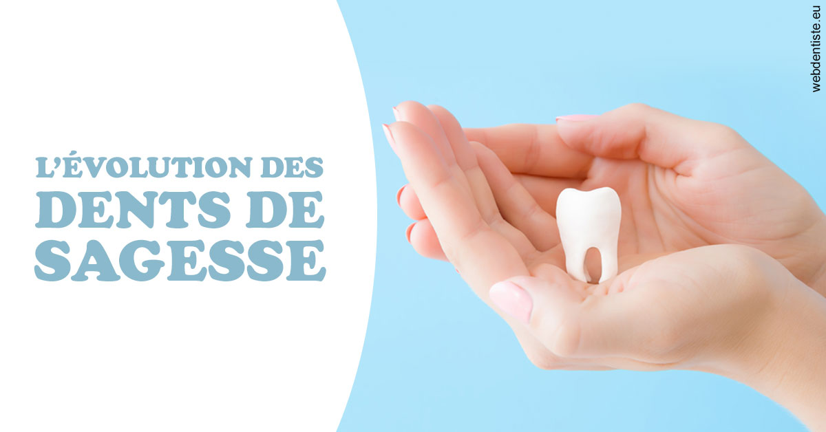 https://dr-bensoussan-sylvie.chirurgiens-dentistes.fr/Evolution dents de sagesse 1