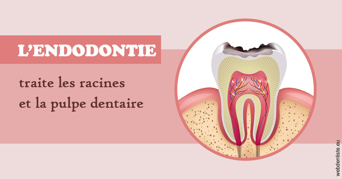 https://dr-bensoussan-sylvie.chirurgiens-dentistes.fr/L'endodontie 2