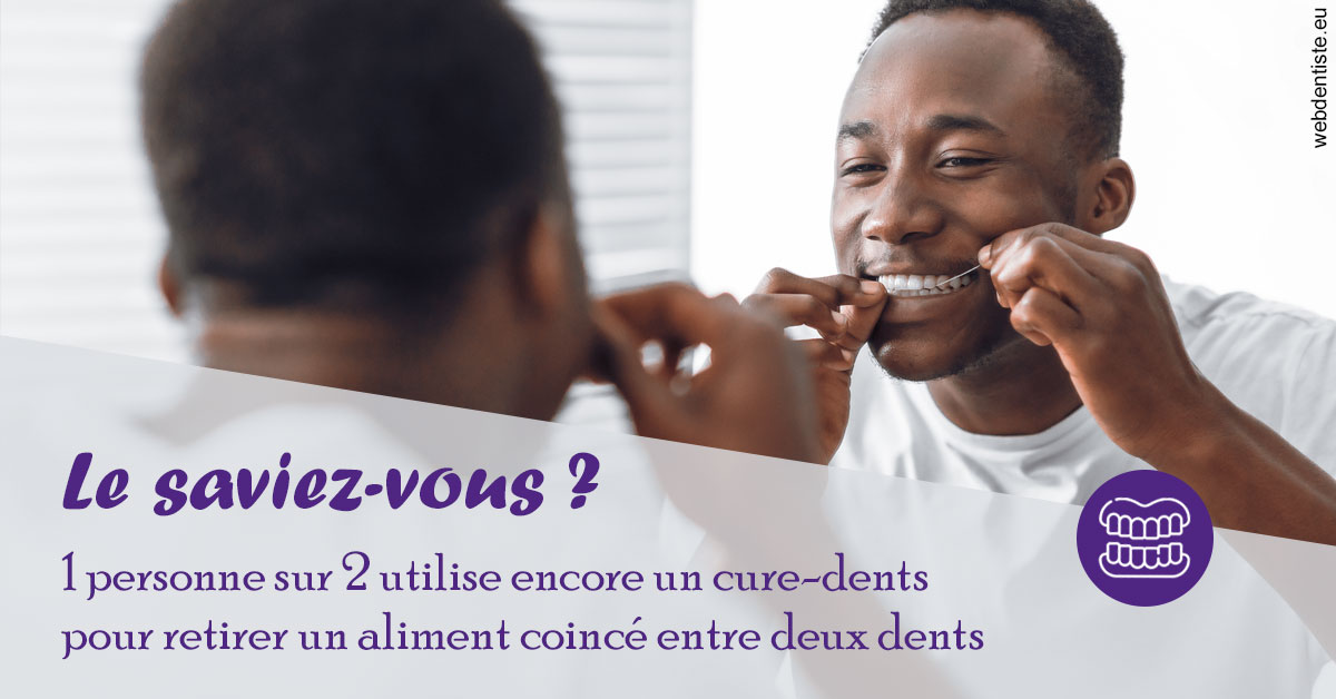 https://dr-bensoussan-sylvie.chirurgiens-dentistes.fr/Cure-dents 2