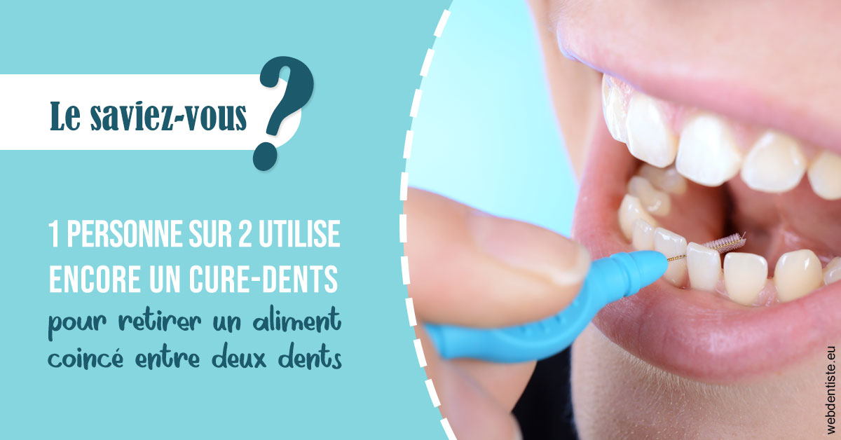 https://dr-bensoussan-sylvie.chirurgiens-dentistes.fr/Cure-dents 1